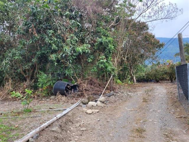 高雄六龜農地-1