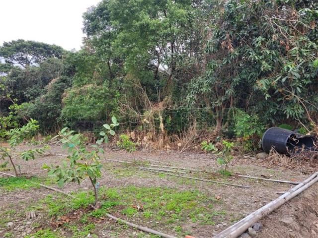 高雄六龜農地-3