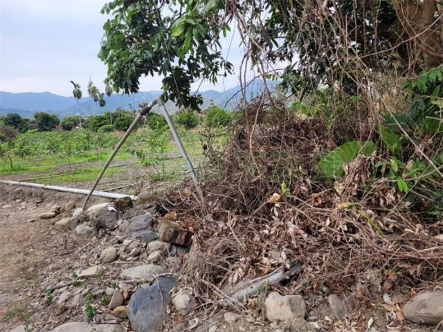 高雄六龜農地-5