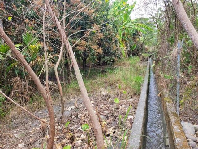 高雄六龜農地-4