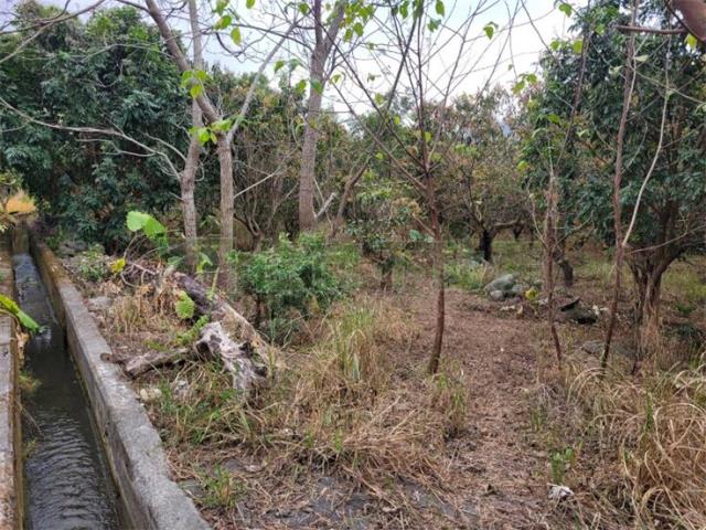 高雄六龜農地-5