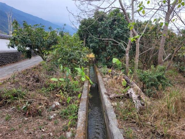 高雄六龜農地-6