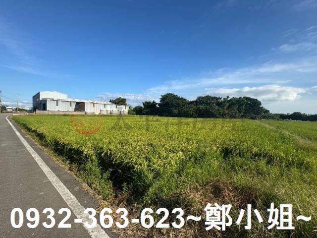 桃園新屋農地-5