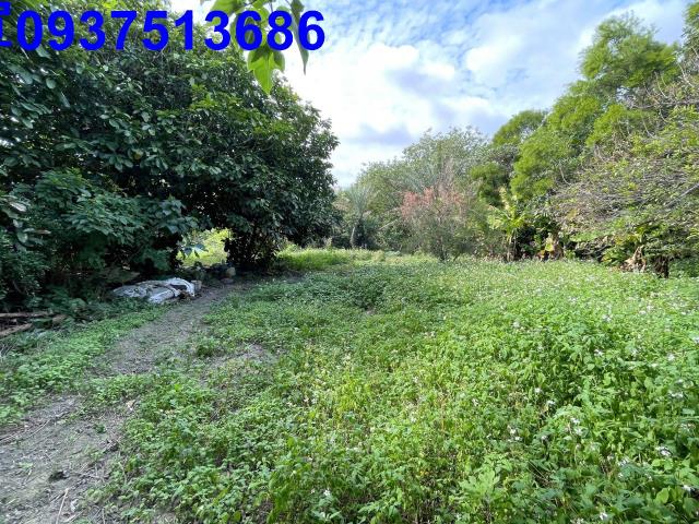 新竹竹北農地-13