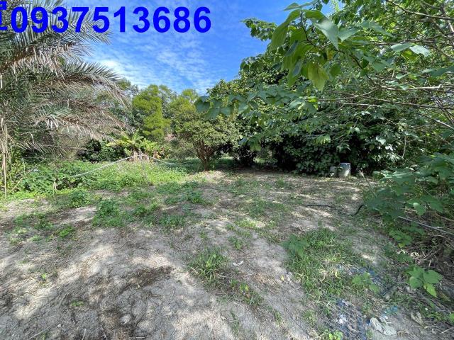 新竹竹北農地-10