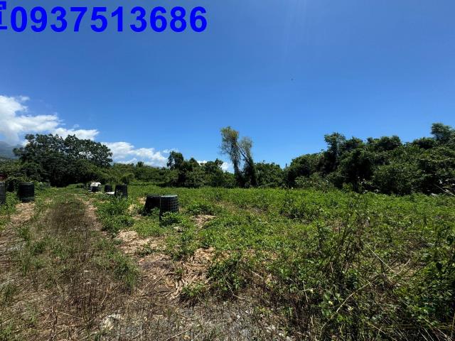 宜蘭礁溪農地-5