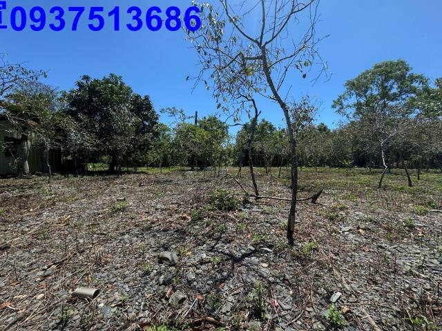 宜蘭礁溪農地-9