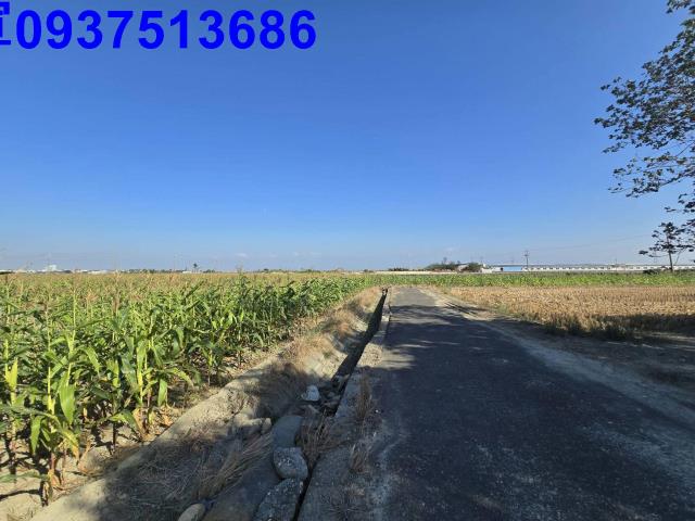 嘉義新港農地-13