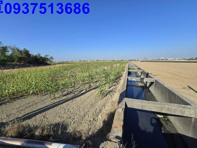 嘉義新港農地-4