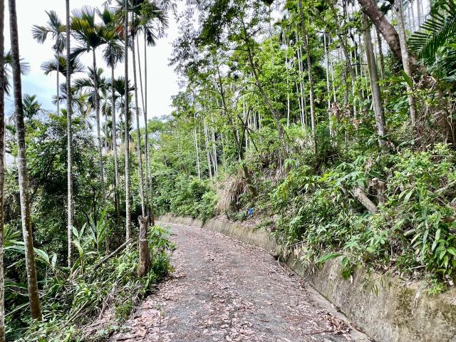 南投草屯農地-11