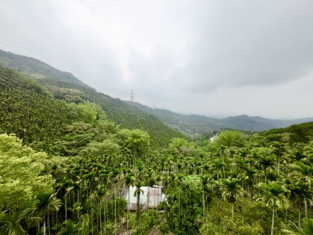 草屯雙冬山坡地