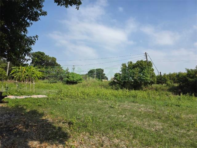 高雄永安農地-3