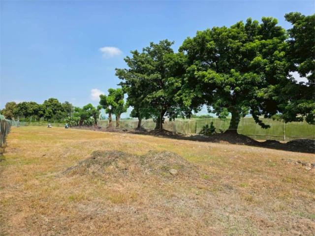 屏東高樹農地-12