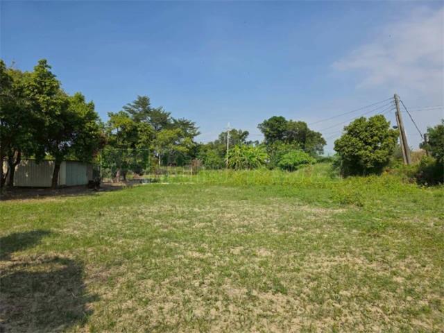 屏東高樹農地-1