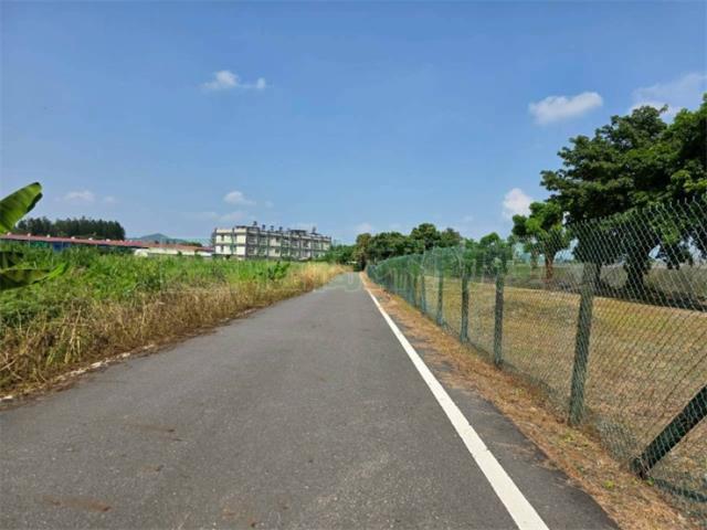 屏東高樹農地-2