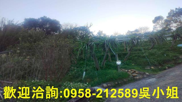 新埔山坡地_休閒地-10