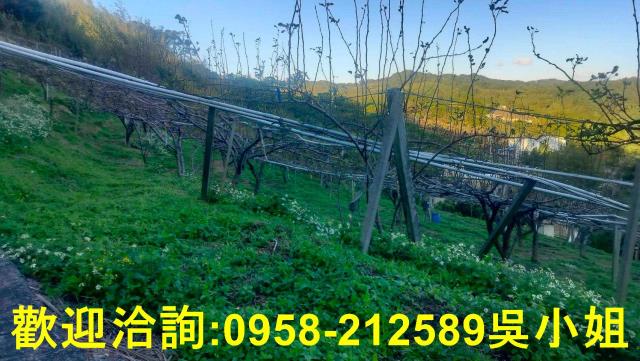 新埔山坡地_休閒地-2