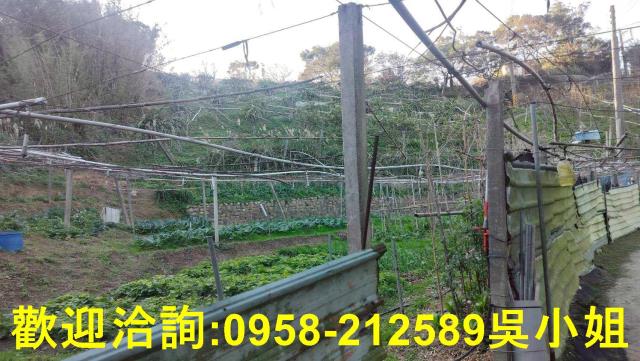 新埔山坡地_休閒地-6