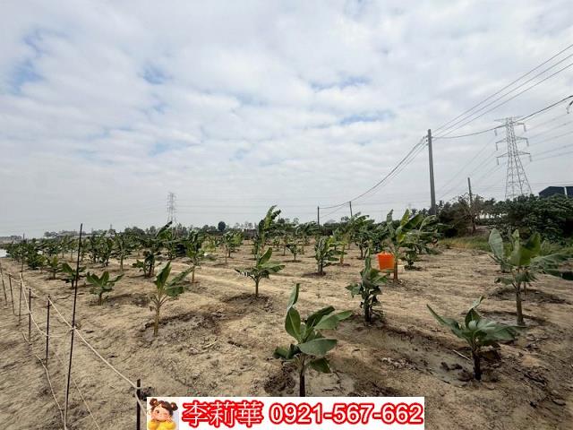 高雄路竹農地-7