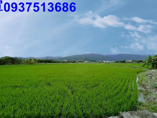 宜蘭三星農地-2