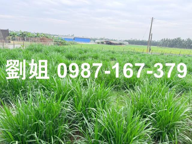 屏東屏東市農地-2