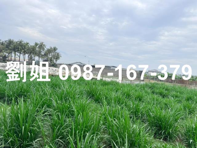 屏東屏東市農地-3