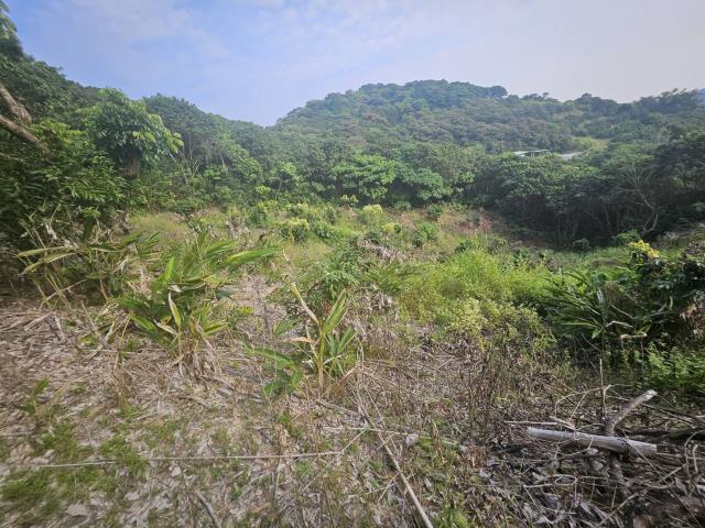 高雄大樹農地-4