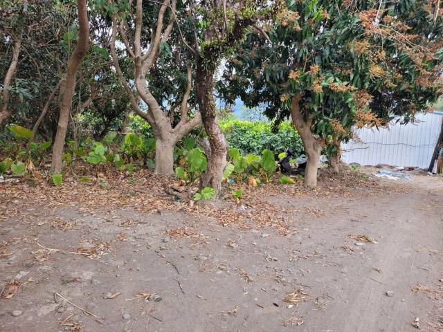 高雄六龜農地-10