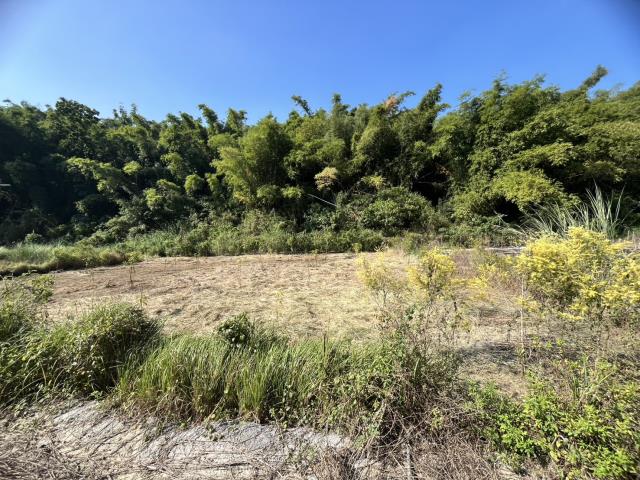 台南左鎮農地_山坡地-2