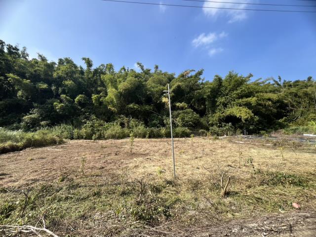 台南左鎮農地_山坡地-5