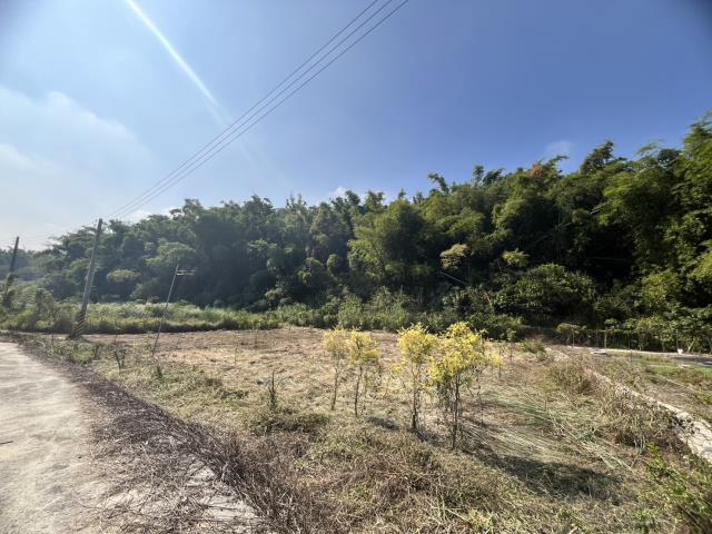 台南左鎮農地_山坡地-4