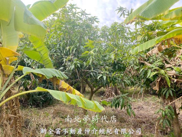 台南新化農地-3