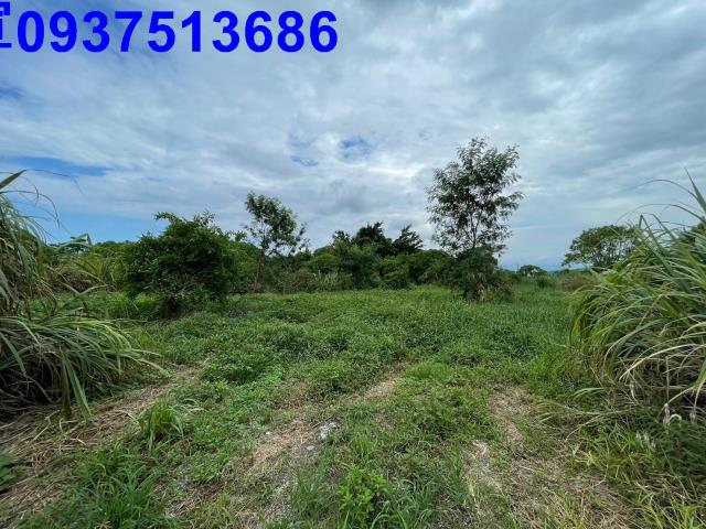 宜蘭宜蘭市農地_建地-11