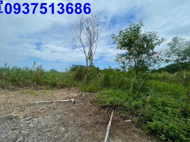 宜蘭宜蘭市農地_建地-1