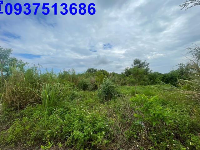 宜蘭宜蘭市農地_建地-2