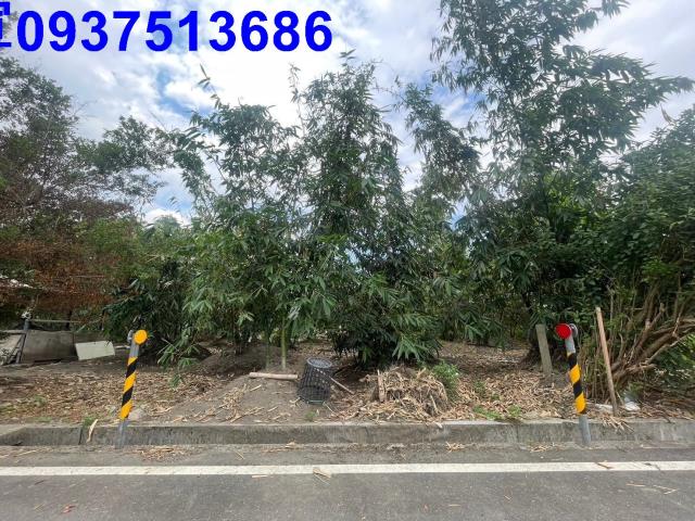 宜蘭宜蘭市農地_建地-4