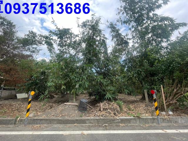 宜蘭宜蘭市農地_建地-5