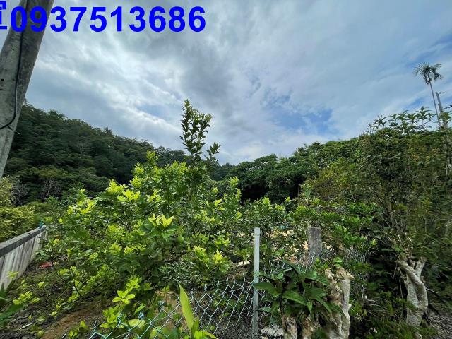 宜蘭員山農地-9