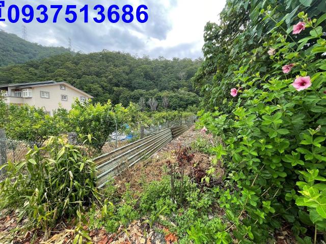 宜蘭員山農地-5