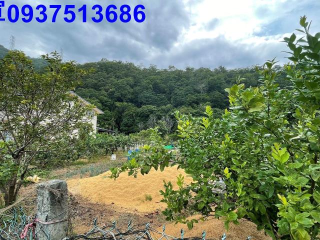 宜蘭員山農地-7