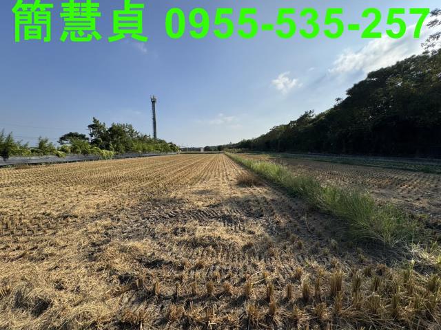 草屯農地-5