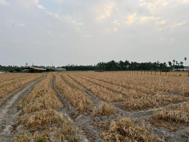 屏東市農地-5