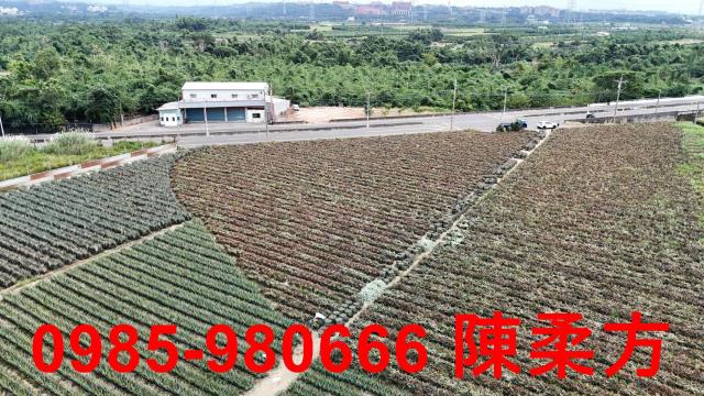 嘉義大林農地-2