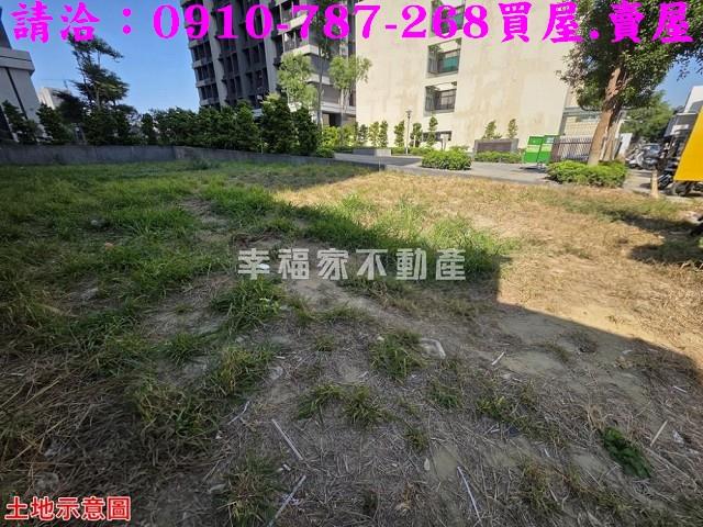 台南仁德建地_商業地-3