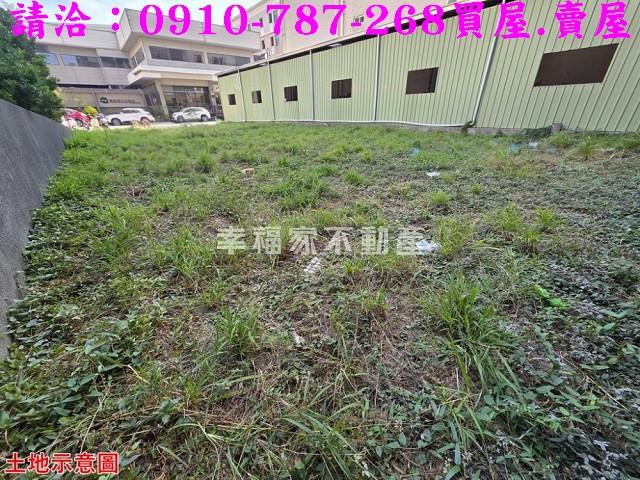 台南仁德建地_商業地-5