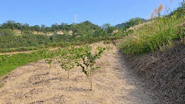 新竹北埔農地_山坡地-10