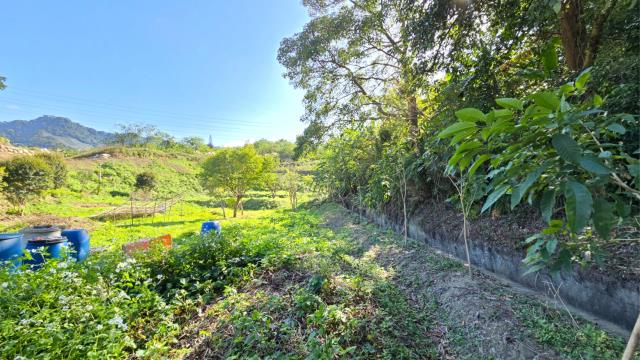 新竹北埔農地_山坡地-4