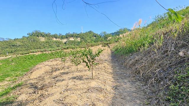 新竹北埔農地_山坡地-5