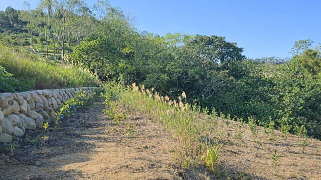 新竹北埔農地_山坡地-6