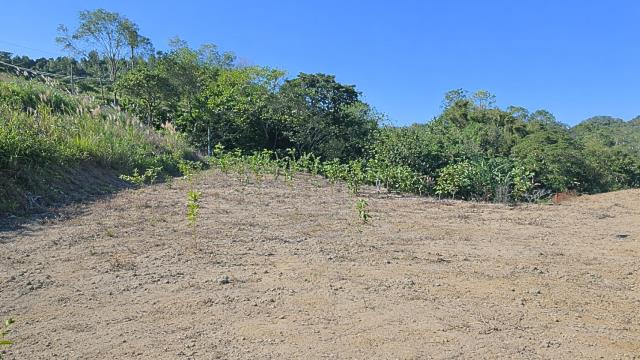 新竹北埔農地_山坡地-7